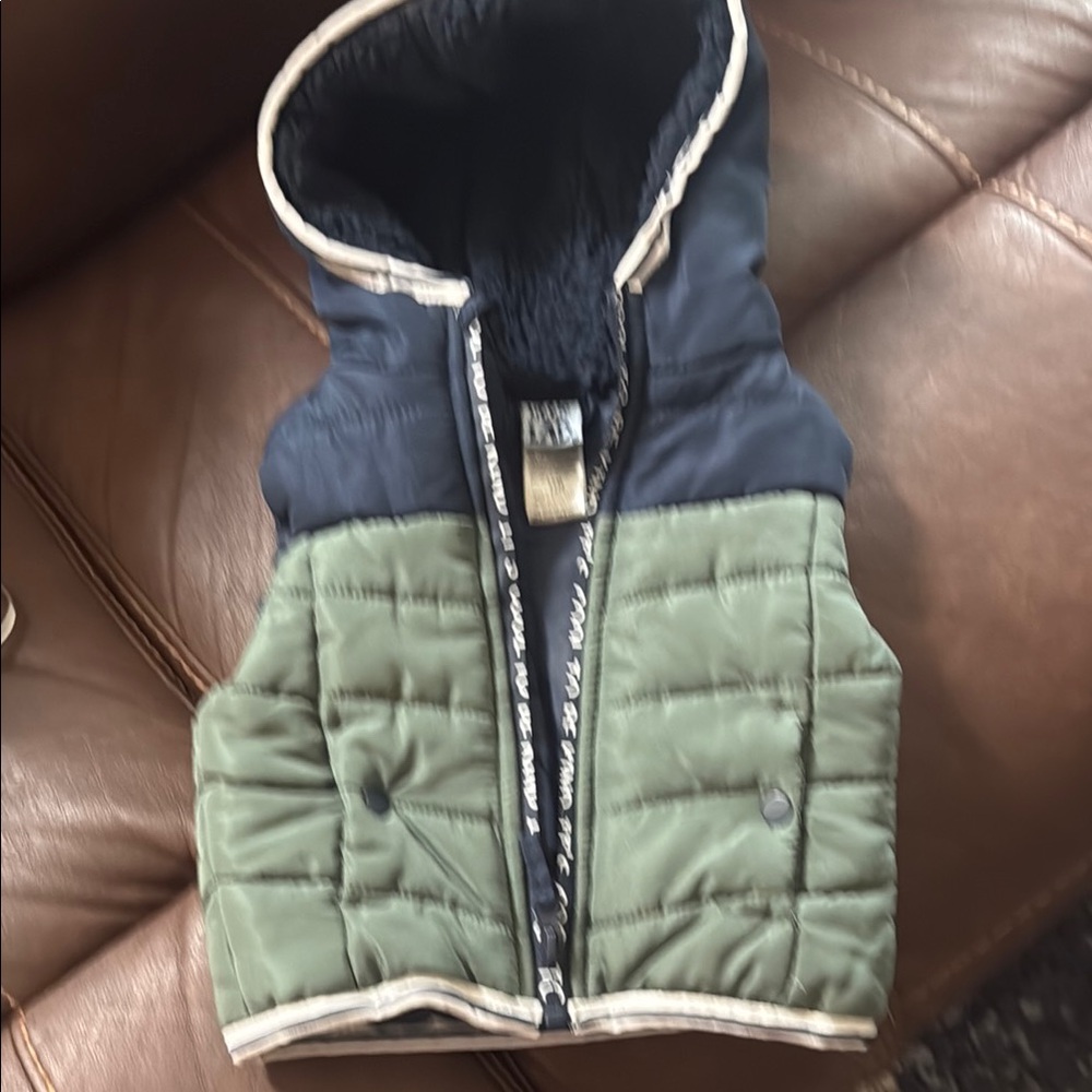 Green and Black Quilted Hooded Vest